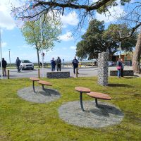 PETALES-SINEU-GRAFF Petales set